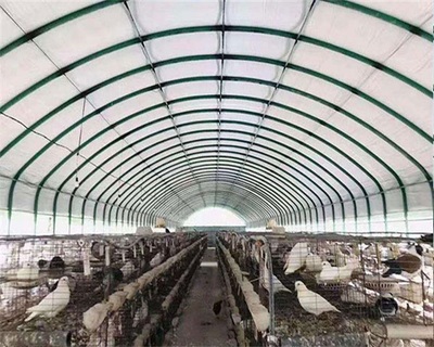 天津泰福包塑管養(yǎng)殖大棚的法律風(fēng)險(xiǎn)與合規(guī)建議