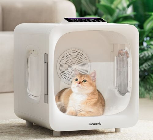 618寵物家電精選指南 智慧科技，開啟愛寵舒適新生活